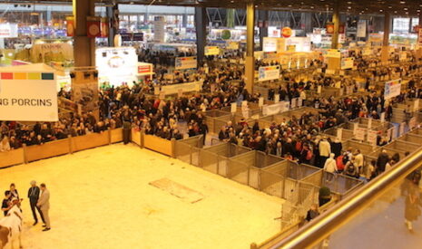 Salon de l’agriculture 2016, la vitrine de la crise