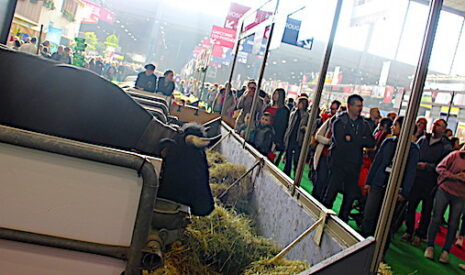 Salon 2020, mais quelle est cette agriculture qui « vous tend les bras » ?