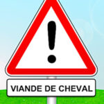 Retour sur le scandale de la viande de cheval à l’occasion du procès de ses responsables