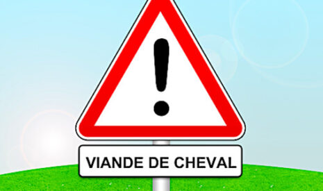 Retour sur le scandale de la viande de cheval à l’occasion du procès de ses responsables