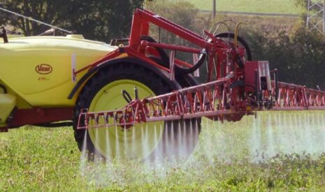 Protection des plantes, l’agriculture biologique plombe-t-elle le programme Ecophyto ?