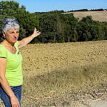 La sécheresse alarme les agriculteurs d’Occitanie