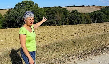 La sécheresse alarme les agriculteurs d’Occitanie