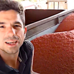 David Forge dit tout sur les semences qu’il utilise à la ferme