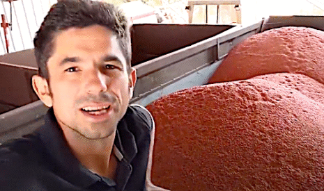 David Forge dit tout sur les semences qu’il utilise à la ferme
