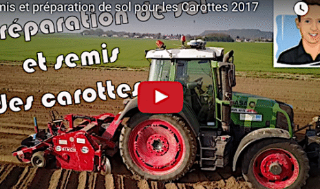 Semis et préparation du sol pour les carottes