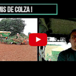 Ce qu’il faut savoir pour son semis de colza