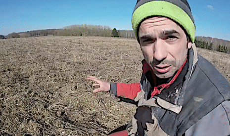 Test sur un hectare, semis de féverole décalé au printemps