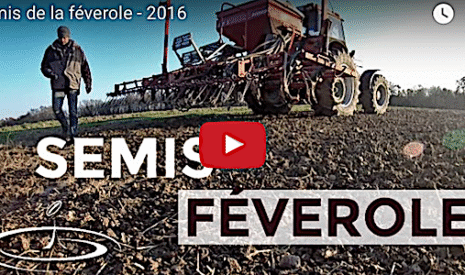 Tracteur et semoir en action pour la féverole