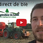 Semis direct de blé après maïs