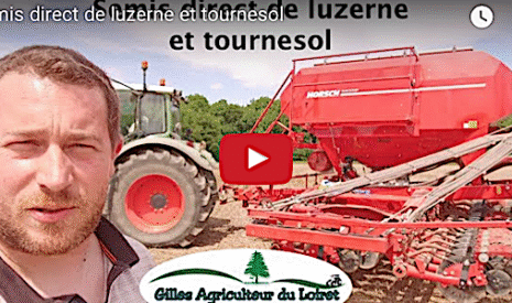 Semis direct de luzerne et de tournesol