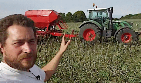 Semis direct de blé sur couvert végétal