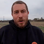 Semis de féveroles en lieu et place de colzas