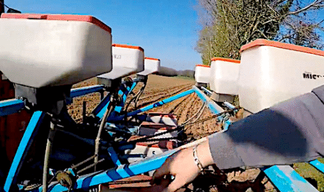 Semis de maïs et de tournesol dans la Vienne