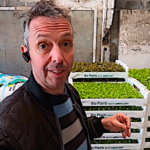 Coronavirus, comment un producteur agricole s’adapte pour nourrir la population
