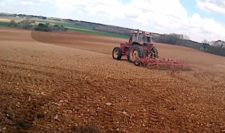 Semis de tournesol avec du matériel des années 1970