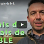 Le fonctionnement du semoir pour essais de blé