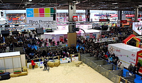 Sia 2019, mais où en est notre agriculture ?