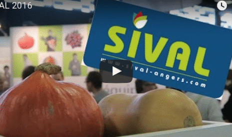 Ma visite du Sival en vidéo