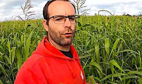 Récolte et enrubannage du sorgho en Haute-Loire