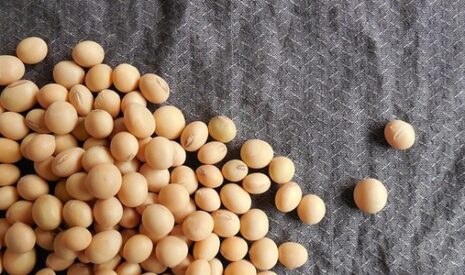 Un rapport USDA qui a surpris aux Etats-Unis
