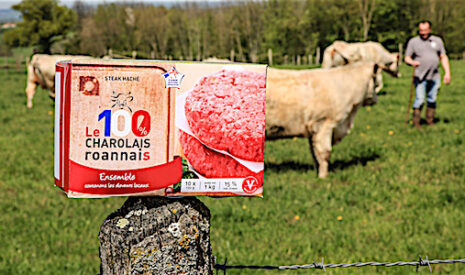 Nouveau, les steaks hachés surgelés charolais haut de gamme