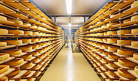 Stocks alimentaires stratégiques en agriculture, mais de quoi parle-t-on au juste ?