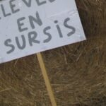 Suicides des agriculteurs, au-delà de l’étude