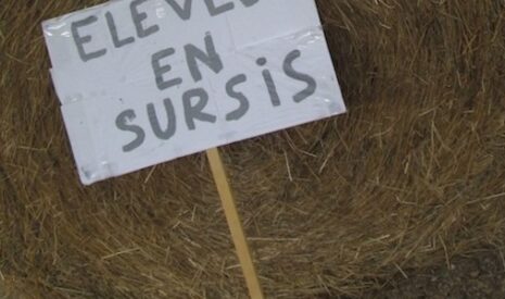 Suicides des agriculteurs, au-delà de l’étude