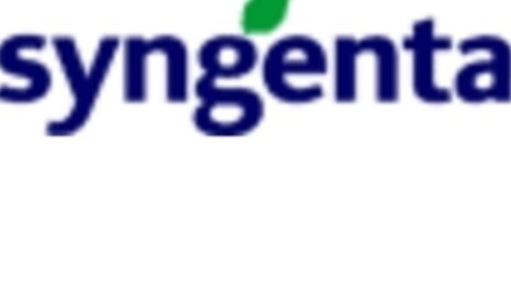 Syngenta conteste en justice la suspension du thiaméthoxam par l’Union européenne