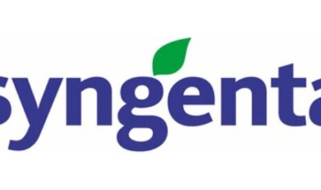 Un nouvel anti-mildiou chez Syngenta