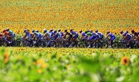 RAGT Semences partenaire du Tour de France