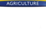 T6 Dynamic Command de New Holland Agriculture, l’art de transmettre la puissance