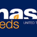 MasSeeds lance son nouveau site internet
