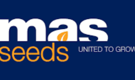 MasSeeds lance son nouveau site internet