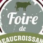 Une petite foire qui à tout d’une grande !