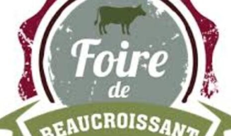 Une petite foire qui à tout d&rsquo;une grande !