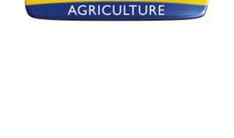 Chargeurs télescopiques LM Tier 4B de New Holland