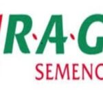 Performances RAGT Semences en tournesol