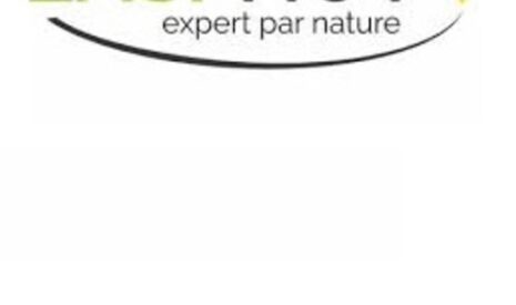 La structuration d&rsquo;Easi&rsquo;Nov se concrétise
