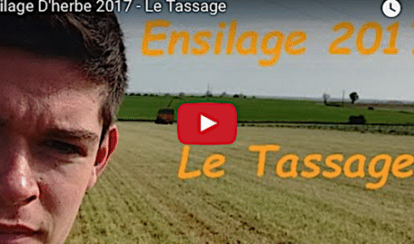 Le secret de l’ensilage réussi, bien tasser l’herbe