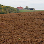 Phosphates, qu’attend-on pour utiliser davantage d’engrais issus de résidus d’élevage ?