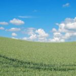 Produit issu d’exploitations en HVE