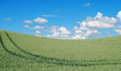 Produit issu d’exploitations en HVE