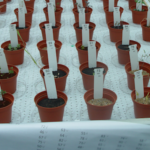 Les dix infos agricoles, alimentaires ou rurales les plus étonnantes de 2014