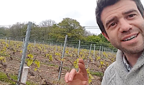 Gel en Champagne, premiers dégâts sur les vignes et craintes météorologiques à venir