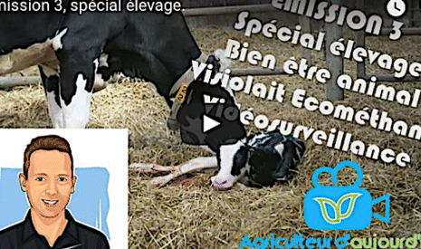 Elevage, bien-être animal, et vidéosurveillance