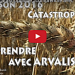 Moisson 2016 catastrophique, comprendre avec Arvalis