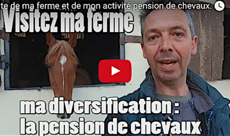 Découvrez ma diversification centre équestre