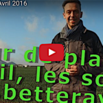 Tour de plaine d’avril 2016, d’abord la vérification de la structure du sol